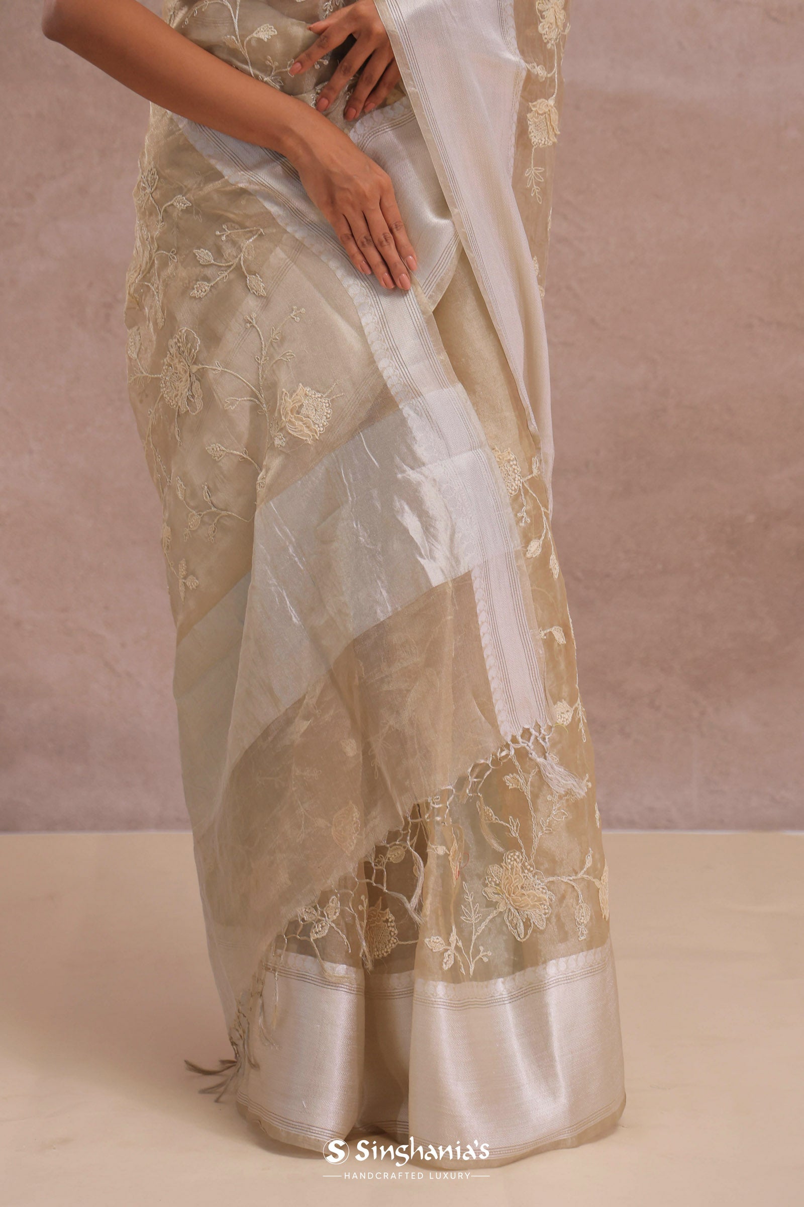 Soft Beige Organza Embroidery Saree With Silver Zari Work