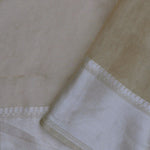 Soft Beige Organza Embroidery Saree With Silver Zari Work