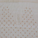 Cream Organza Embroidery Saree With Scallop Border