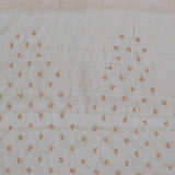 Cream Organza Embroidery Saree With Scallop Border