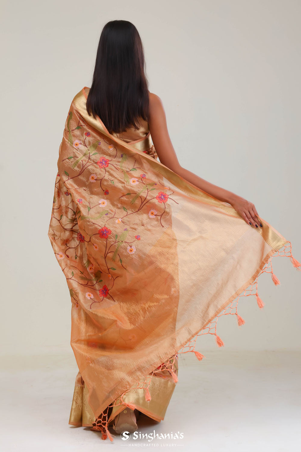 Fawn Gold Jaali Crafted Tissue Saree