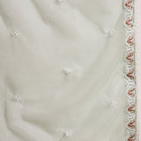 Sage Green Organza Kurti With Floral Embroidery