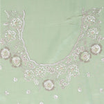 Tea Green Tissue Saree With Embroidery Detail