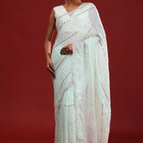 Pale Mint Crafted Organza Saree