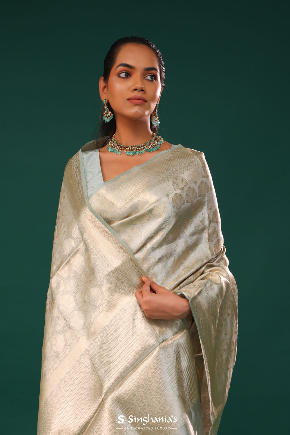 Marian Blue Jaal Tissue Banarasi Saree