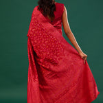 Kani Kashmiri Silk Saree - Bills Red