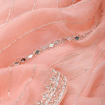 Tropical Peach Tissue Saree With Embroidery Detail