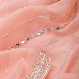 Tropical Peach Tissue Saree With Embroidery Detail