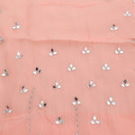 Tropical Peach Tissue Saree With Embroidery Detail