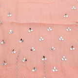 Tropical Peach Tissue Saree With Embroidery Detail