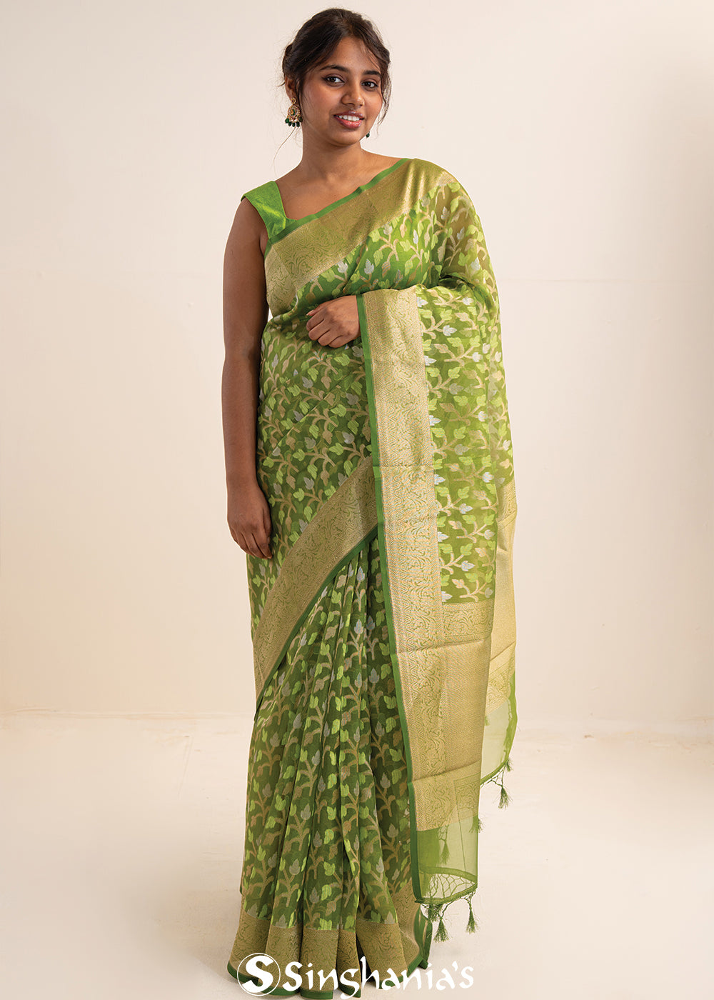 Jangla Organza Banarasi Saree In May Green