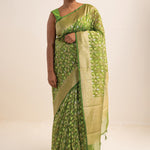 Jangla Organza Banarasi Saree In May Green