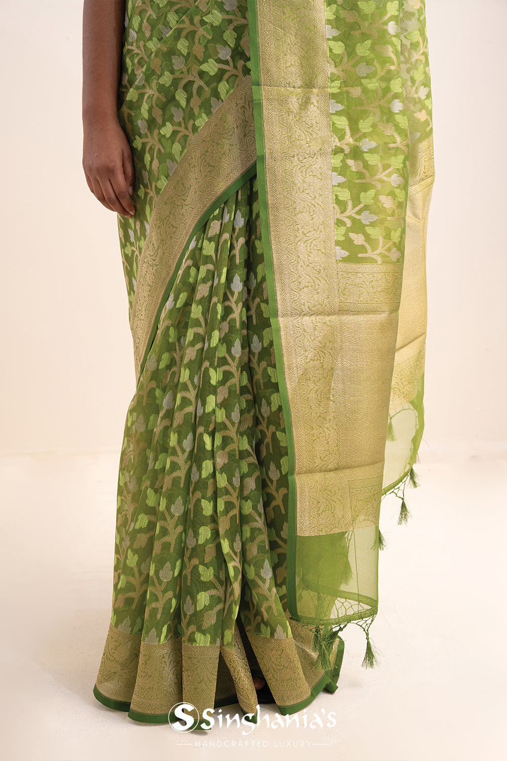 Jangla Organza Banarasi Saree In May Green