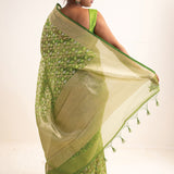 Jangla Organza Banarasi Saree In May Green