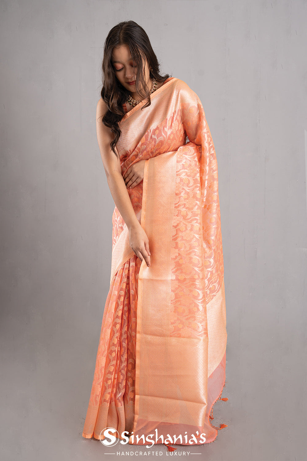 Creamy Peach Jaal Organza Banarasi Saree