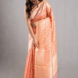 Creamy Peach Jaal Organza Banarasi Saree