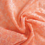 Creamy Peach Jaal Organza Banarasi Saree