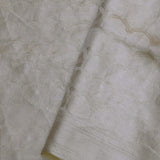 Fawn Yellow Tiissue Organza Banarasi Saree With Gold Zari Work