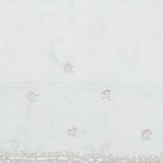 Pale Blue Crafted Jaal Tissue Saree