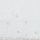 Pale Blue Crafted Jaal Tissue Saree