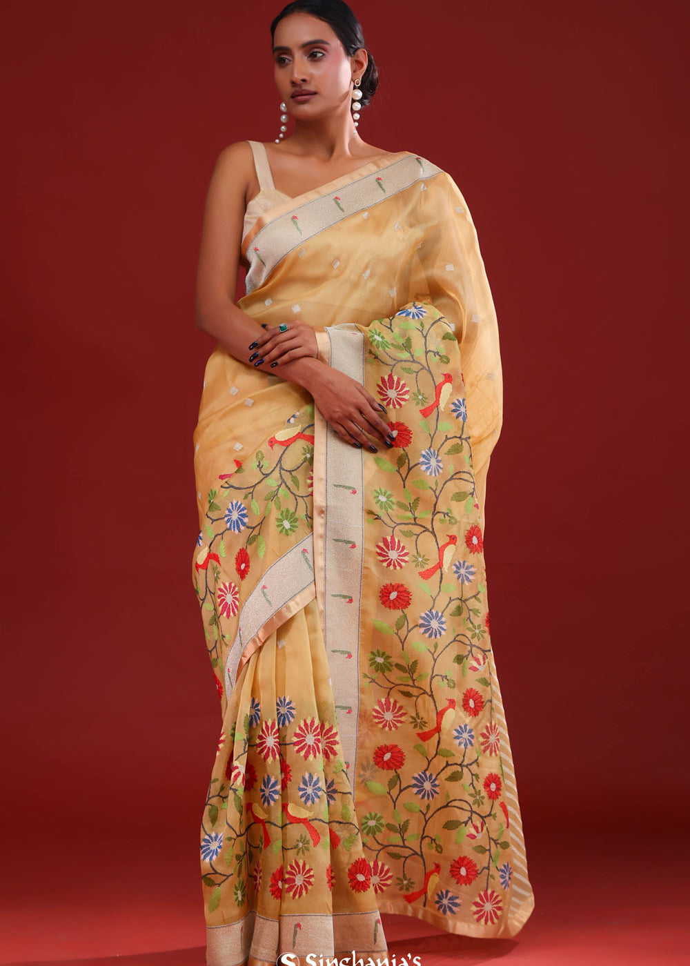Desert Sand Crafted Organza Saree
