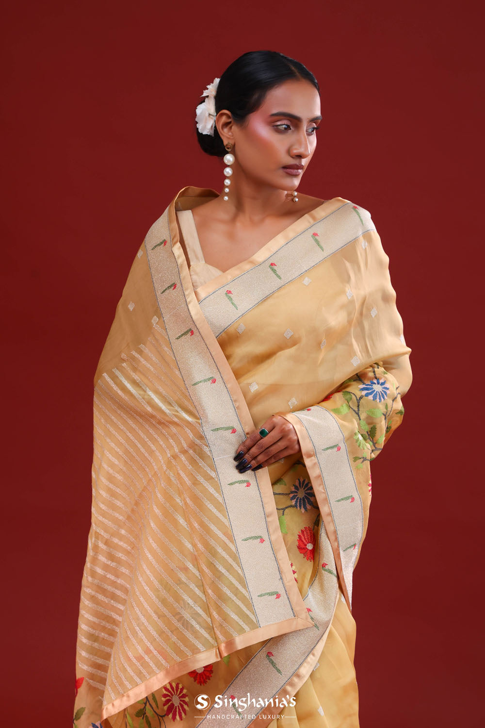 Desert Sand Crafted Organza Saree