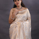 Silver Banarasi Tissue Saree With Floral Zari