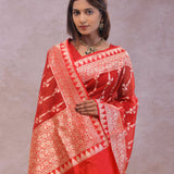 Red Organza Banarasi Saree With Floral Design