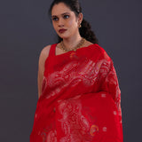 Chilli Red Kanjivaram Silk Saree With Designer Border