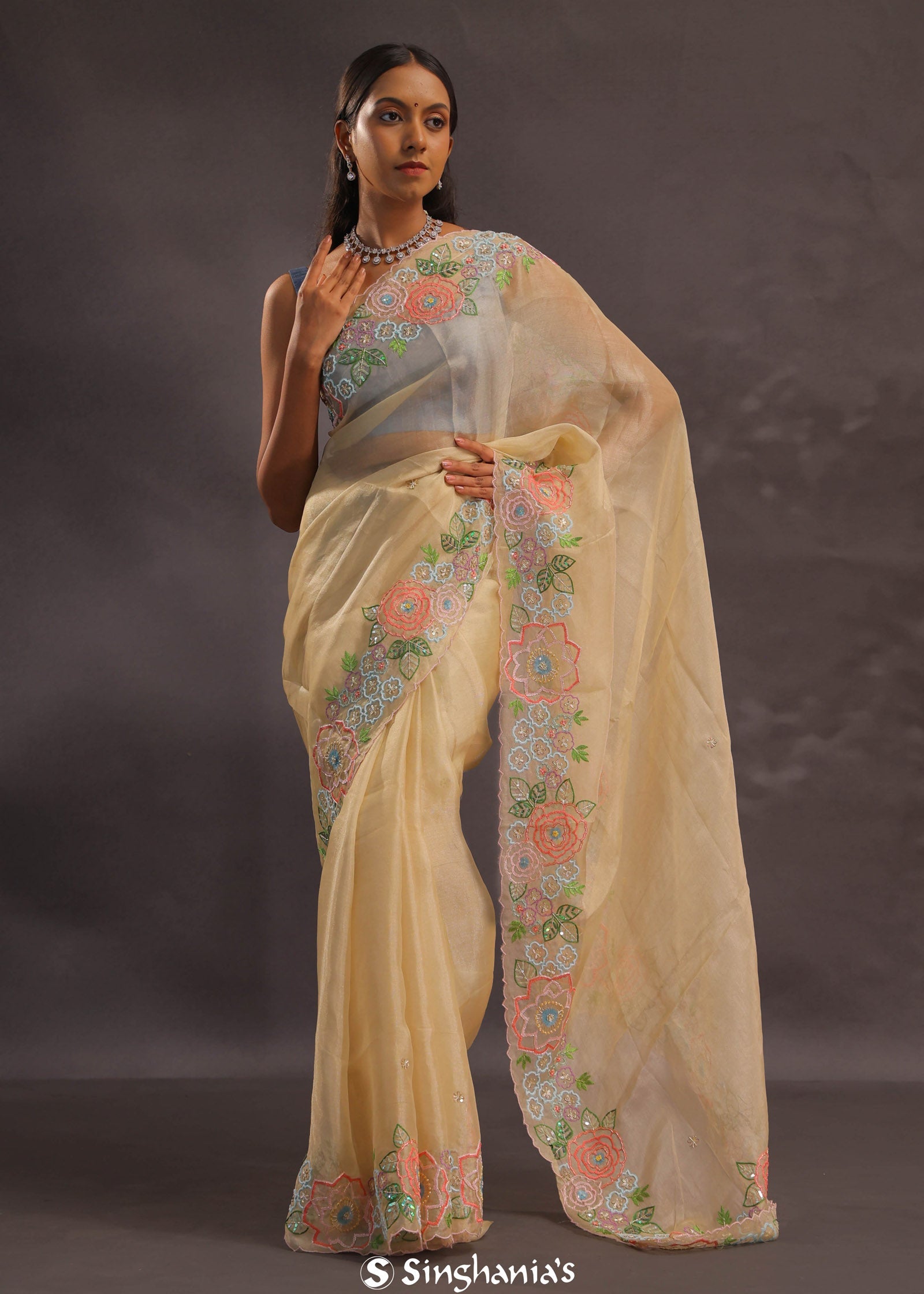 Soft Beige Organza Embroidery Saree With Floral Border