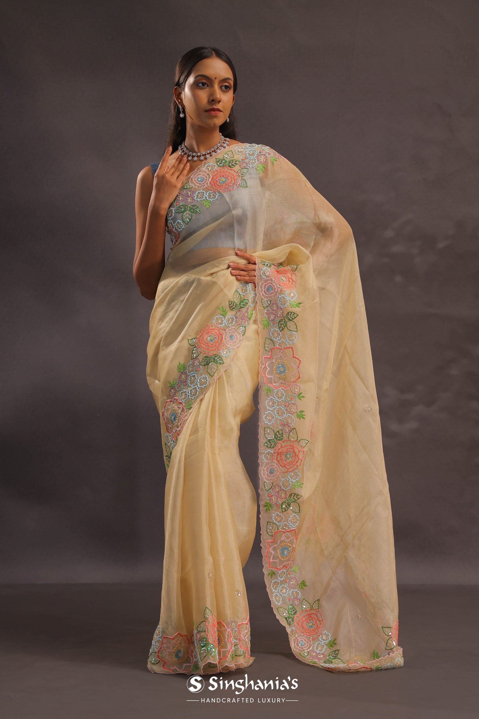 Soft Beige Organza Embroidery Saree With Floral Border