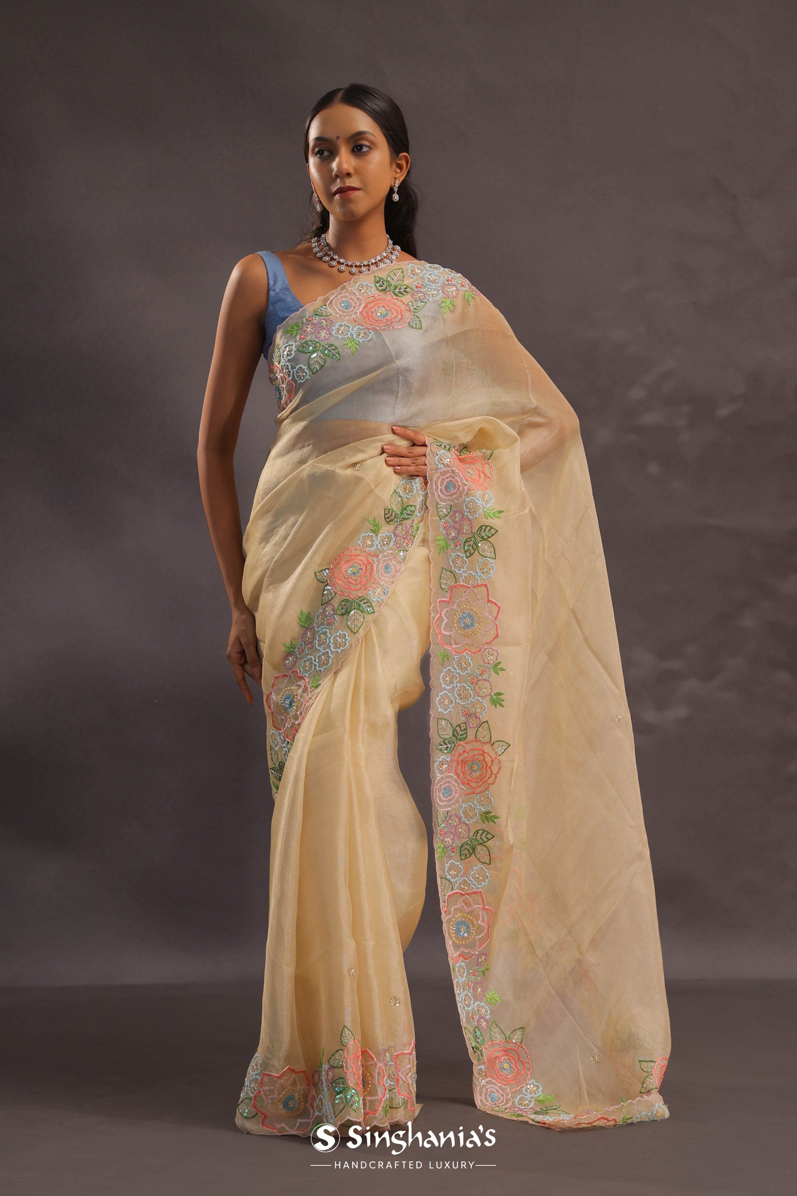 Soft Beige Organza Embroidery Saree With Floral Border