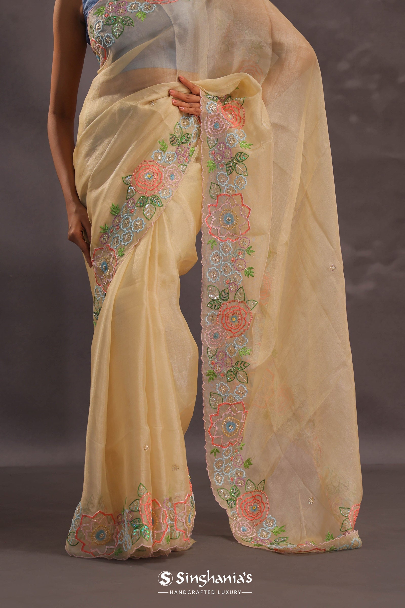 Soft Beige Organza Embroidery Saree With Floral Border