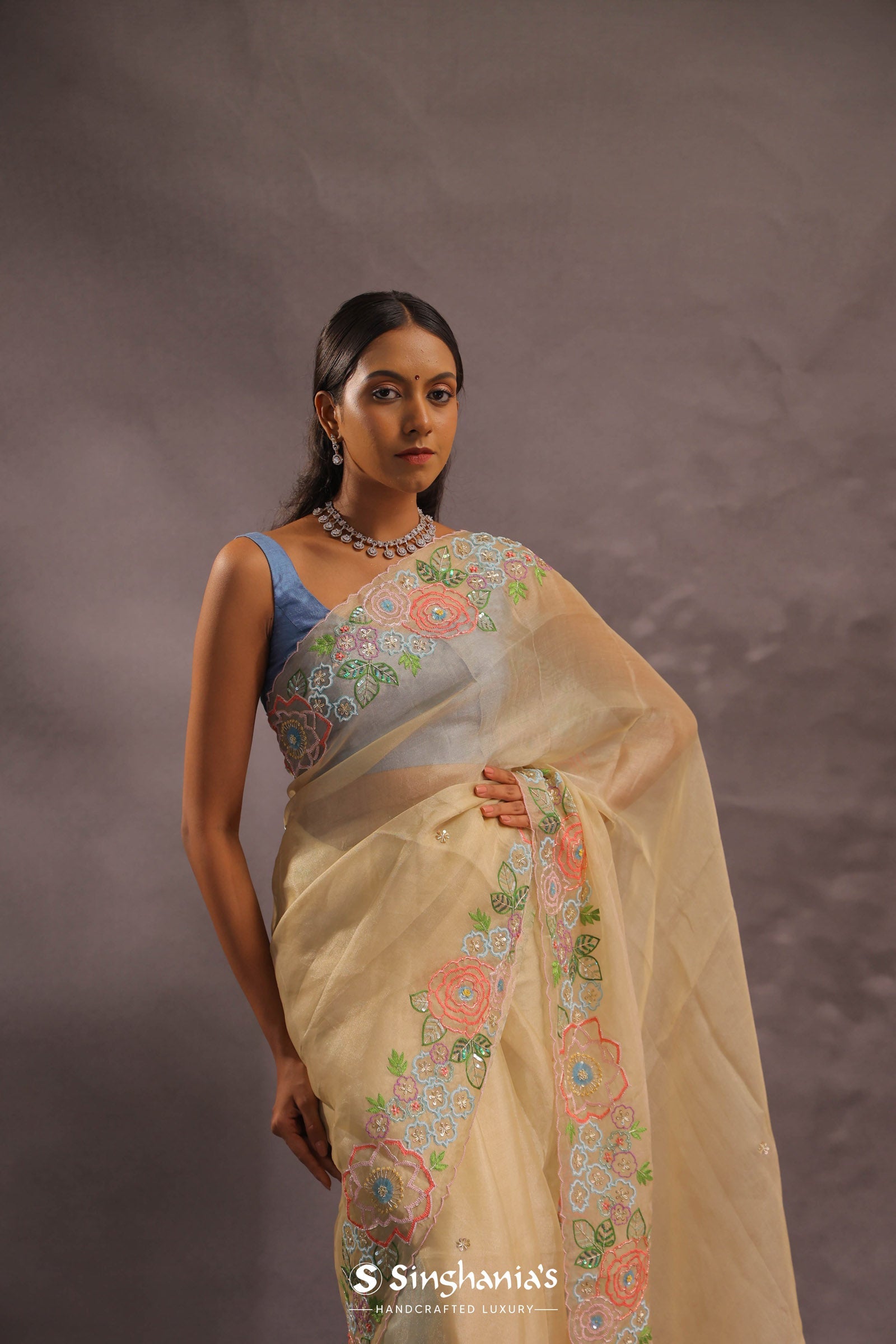 Soft Beige Organza Embroidery Saree With Floral Border