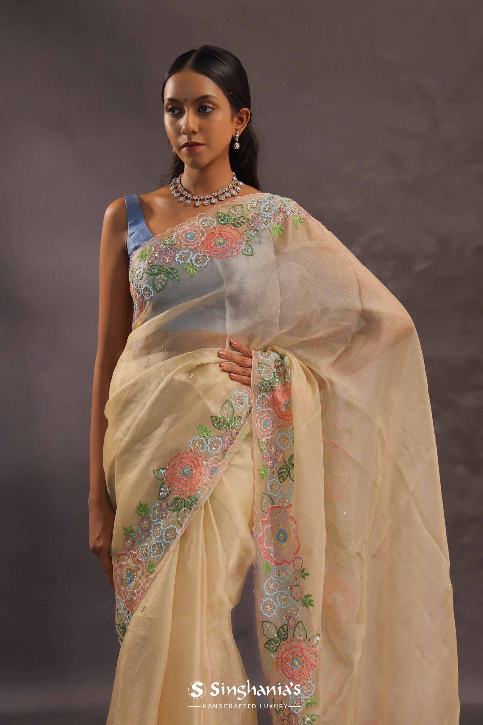 Soft Beige Organza Embroidery Saree With Floral Border