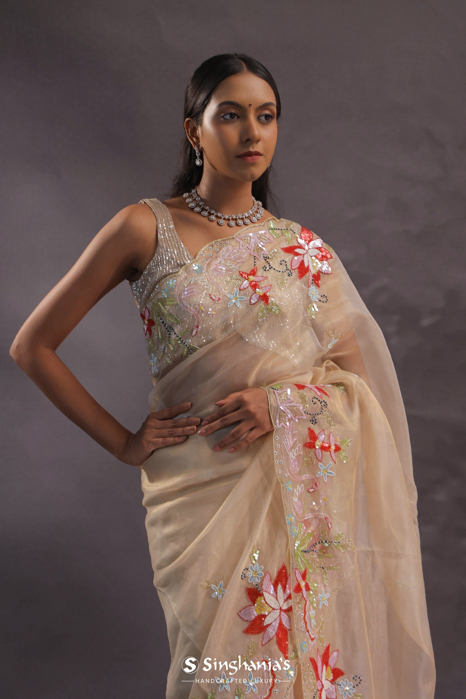 Beige Organza Embroidery Saree With Scallop Border