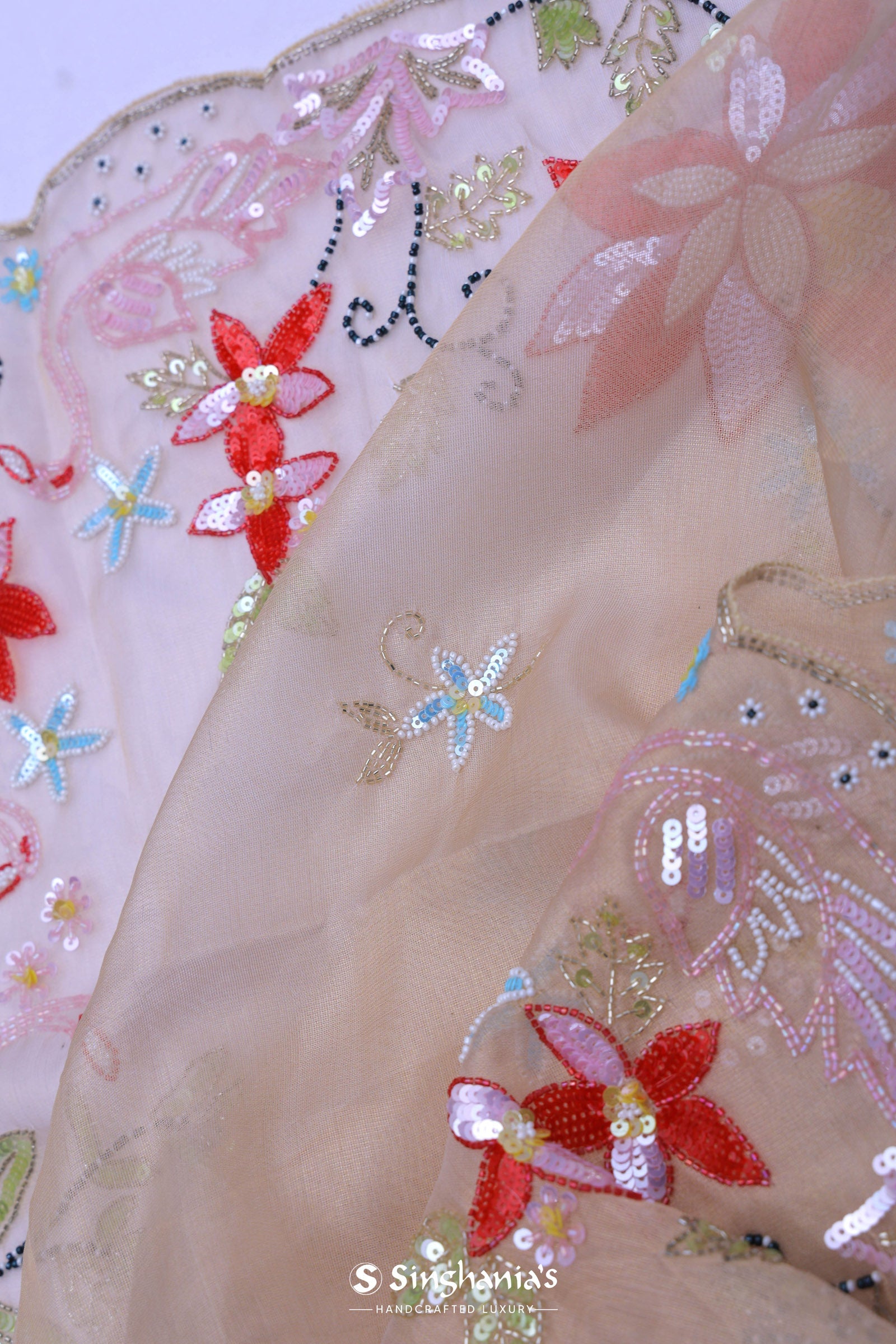 Beige Organza Embroidery Saree With Scallop Border