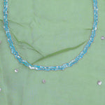 Lime Green Organza Embriodery Saree With Scallop Floral Border