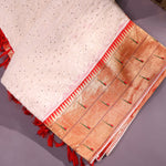 Cream Colour Chikankari Triple Muniya Saree With Intricate Embroidery
