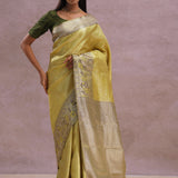 Golden Kanjivaram Tissue Saree With Contrast Green Border