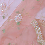 Soft Peach Organza Embroidery Saree With Pearl And Sequins Detailed