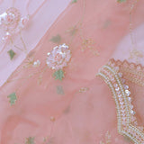 Soft Peach Organza Embroidery Saree With Pearl And Sequins Detailed