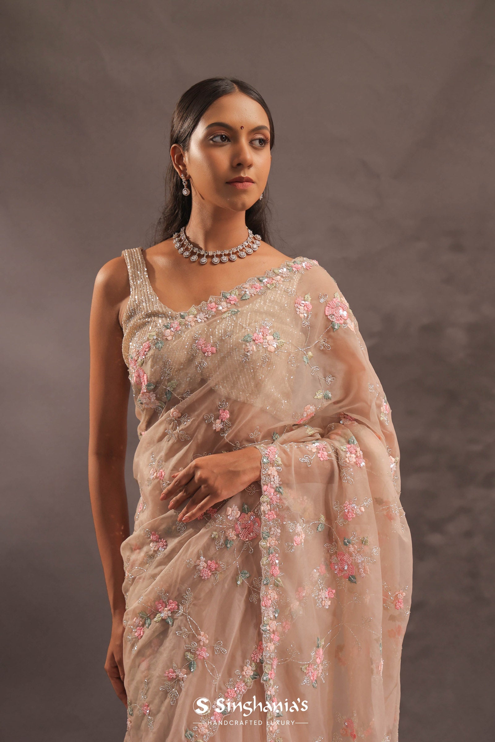 Beige Organza Embroidery Saree With Sequins And Kardana Detailing