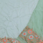 Pistachio Green Organza Embroidery Saree With Floral Border