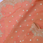 Cantaloupe Orange Organza Embroidery Saree With Scallop Border