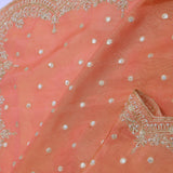 Cantaloupe Orange Organza Embroidery Saree With Scallop Border