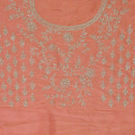 Cantaloupe Orange Organza Embroidery Saree With Scallop Border