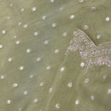 Pista Green Banarasi Tissue Saree With Scallop Border