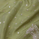 Olive Green Organza Embroidery Saree With Scallop Border