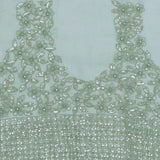 Sage Green Organza Embroidery Saree With Small Scallop Border
